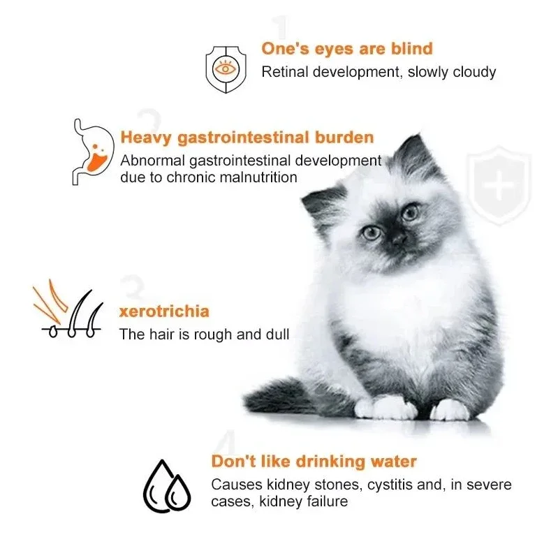 10 Stück Katzenstreifen, Haust – Food Snacks Label Bewertung und Preis