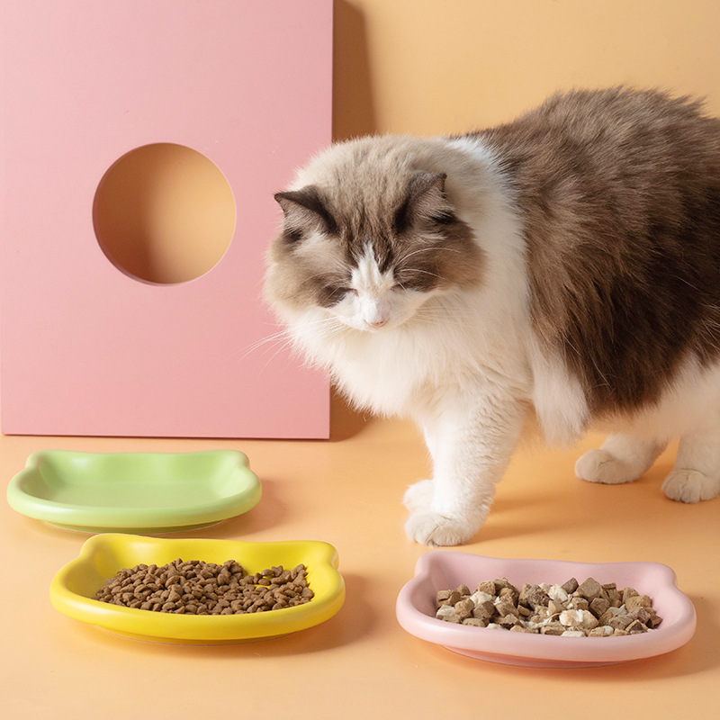 Niedliche Katzenförmige Snack- – Food Snacks Options Bewertung und Preis